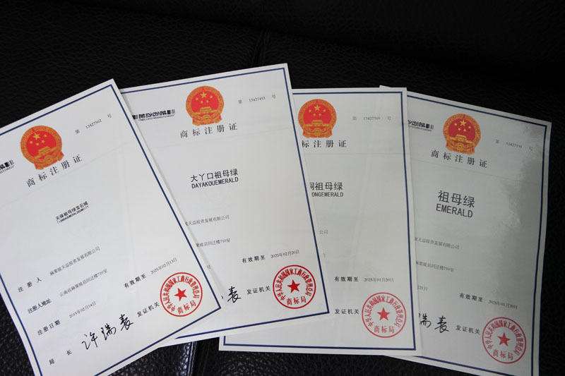 商標證書丟了怎么補辦（商標證書補辦流程大全）