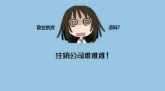 [深圳營業執照注銷]深圳個體營業執照注銷要帶什么資料?